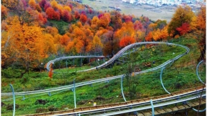 سورتمه ریلی تالش؛ تجربه هیجان و طبیعت در دل جنگل سیاهداران