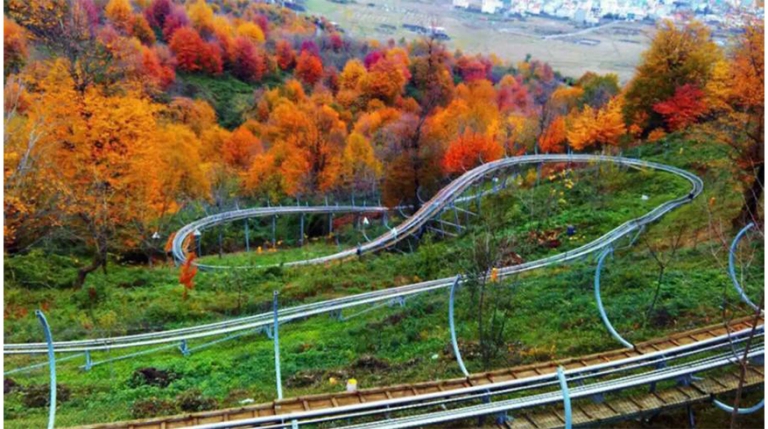 سورتمه ریلی تالش؛ تجربه هیجان و طبیعت در دل جنگل سیاهداران