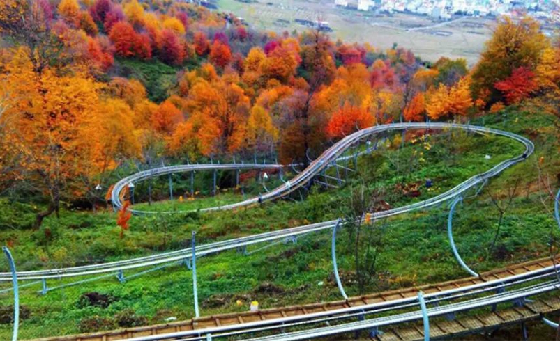 سورتمه ریلی تالش؛ تجربه هیجان و طبیعت در دل جنگل سیاهداران