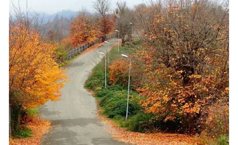 معرفی و موقعیت جغرافیایی پارک جنگلی سیاهداران