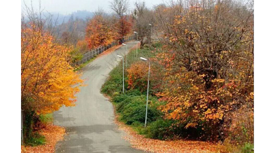 معرفی و موقعیت جغرافیایی پارک جنگلی سیاهداران