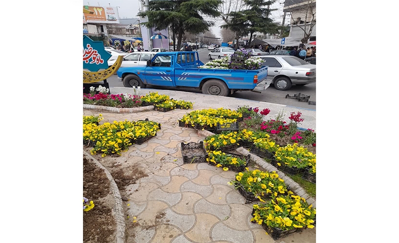 كاشت گلهای فصلی در میادین و بلوارهای شهر تالش