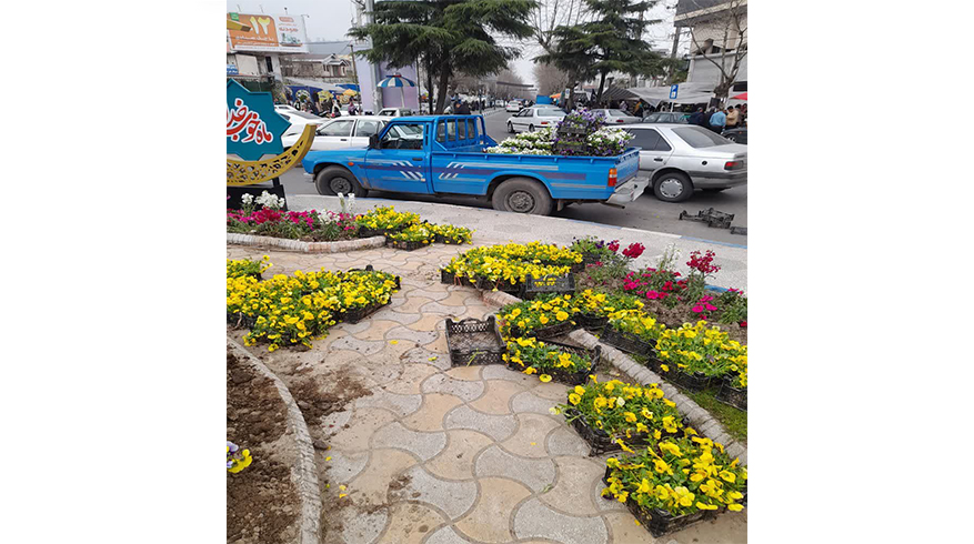 كاشت گلهای فصلی در میادین و بلوارهای شهر تالش